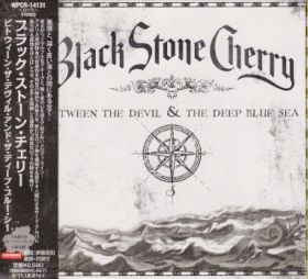 BLACK STONE CHERRY / BETWEEN THE DEVIL AND THE DEEP BLUE SEA ξʾܺ٤