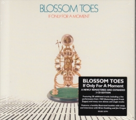 BLOSSOM TOES / IF ONLY FOR A MOMENT ξʾܺ٤