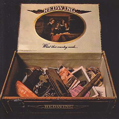 REDWING / WHAT THIS COUNTRY NEEDS ξʾܺ٤
