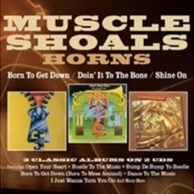 MUSCLE SHOALS HORNS / BORN TO GET DOWN/DOIN' IT TO THE BONE/SHINE ON ξʾܺ٤