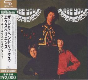 JIMI HENDRIX EXPERIENCE / ARE YOU EXPERIENCED ? ξʾܺ٤