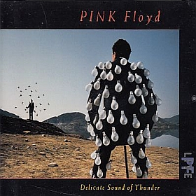 PINK FLOYD / DELICATE SOUND OF THUNDER ξʾܺ٤