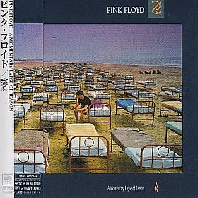 PINK FLOYD / A MOMENTARY LAPSE OF REASON ξʾܺ٤