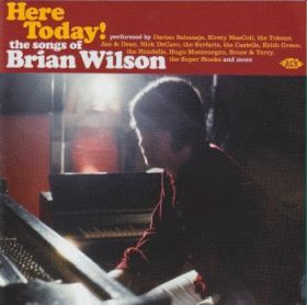 V.A. / HERE TODAY! - THE SONGS OF BRIAN WILSON ξʾܺ٤
