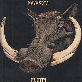 NAVASOTA / ROOTIN ξʾܺ٤