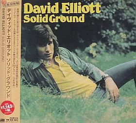 DAVID ELLIOTT / SOLID GROUND ξʾܺ٤