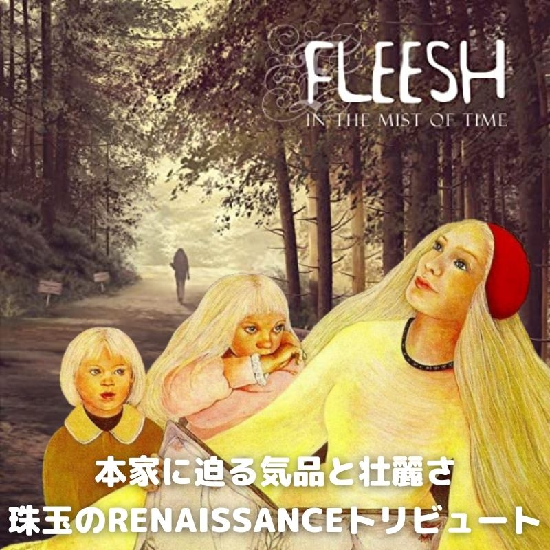FLEESH / IN THE MIST OF TIME 商品ページ