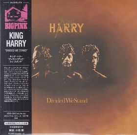 KING HARRY / DIVIDED WE STAND の商品詳細へ