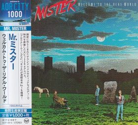 MR.MISTER / WELCOME TO THE REAL WORLD ξʾܺ٤