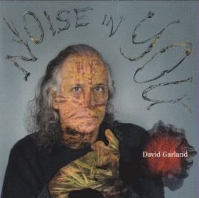 DAVID GARLAND / NOISE IN YOU ξʾܺ٤