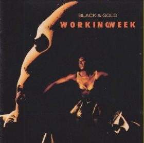 WORKING WEEK / BLACK AND GOLD ξʾܺ٤