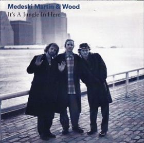 MEDESKI MARTIN & WOOD / IT'S A JUNGLE IN HERE ξʾܺ٤