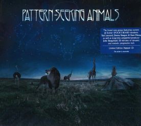 PATTERN-SEEKING ANIMALS / PATTERN-SEEKING ANIMALS ξʾܺ٤