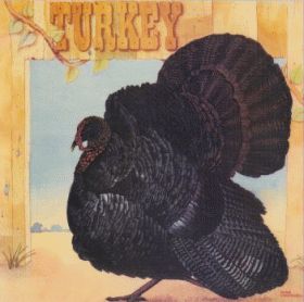 WILD TURKEY / TURKEY ξʾܺ٤