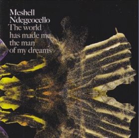 MESHELL NDEGEOCELLO / WORLD HAS MADE ME THE MAN OF MY DREAMS ξʾܺ٤