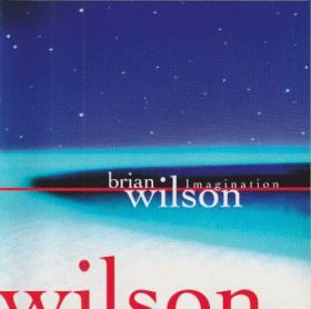 BRIAN WILSON / IMAGINATION ξʾܺ٤