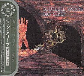 BIG SLEEP / BLUEBELL WOOD の商品詳細へ