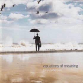 TONY PATTERSON / EQUATIONS OF MEANING ξʾܺ٤