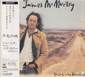 JAMES MCMURTRY / TOO LONG IN THE WASTELAND ξʾܺ٤