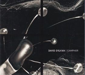 DAVID SYLVIAN / CAMPHOR ξʾܺ٤