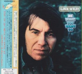 LINK WRAY / BE WHAT YOU WANT TO ξʾܺ٤
