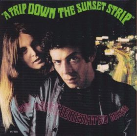 LEATHERCOATED MINDS / A TRIP DOWN THE SUNSET STRIP ξʾܺ٤
