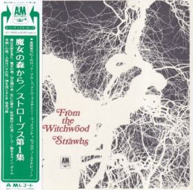 STRAWBS / FROM THE WITCHWOOD ξʾܺ٤
