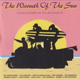 V.A. / WARMTH OF THE SUN: SONGS INSPIRED BY THE BEACH BOYS ξʾܺ٤