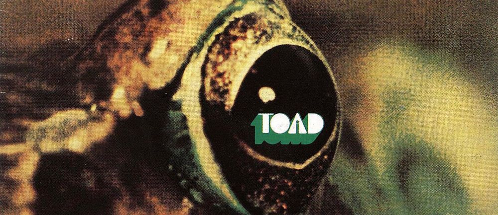 スイスの名ハード・ロック・バンドTOADの1st『TOAD』と2nd『Tomorrow Blue』を特集！